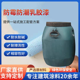 厂家直销工程外墙漆白色防水防霉弹性建筑油漆水性环保外墙乳胶漆