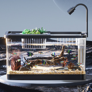 Household Ecological Transparent Fish Tank, Desktop Square Betta Fish Tank, Office Living Room Landscaping Stream Tank, Turtle Breeding Tank