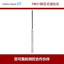 E+H˹˹ oҺλӋFMX21  Ƿ,4-20mA,4,10