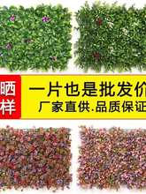 ����Gֲ��ֲ��b��̨��ֲ�����ϲ�ƺ�T�^�������G�������쾰