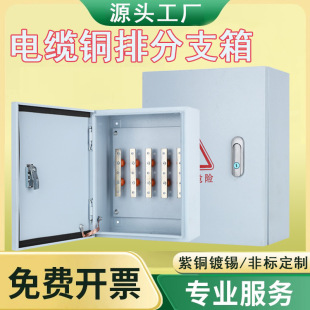InsulaTed Cable Copper Row T-connecT Box OuTdoor Low-volTage Copper Row Branch Box Indoor Surface-mounTed Floor Conversion Terminal Box