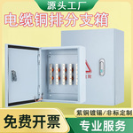 绝缘电缆铜排T接箱户外低压铜排分支箱室内明装楼层转换接线端箱