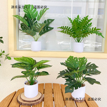 �辰���W�ٻ��k����С�����������Կ͏d�bGֲ�ҾӔ[���b�����