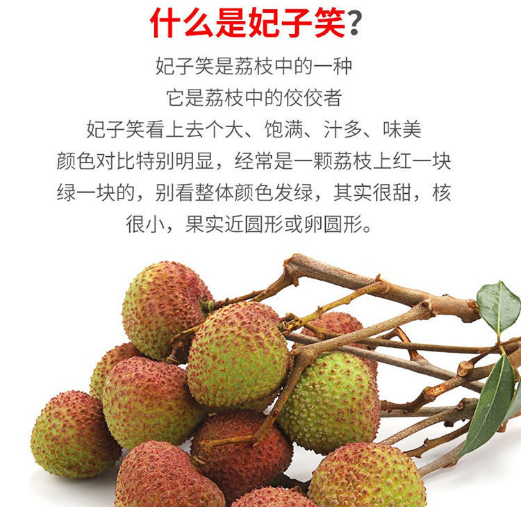 e0353696-b4dc-4ef4-9ba7-8d52da6baf88.jpe