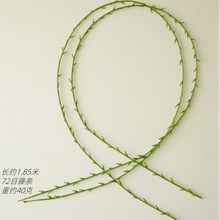 1.85��72Ŀ����ֲ��ڒ��ٗl������F���ϙ����ȼ��������߷���