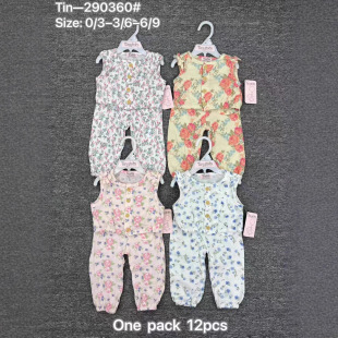 �����ļ�2PCS�ɐ�ӡ�����b�o������+�Lѝ3-9M��ͯСͯ����СŮ��