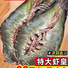 ���r�r������u�����r��؛����r�}���ك����r2030���rˮ�a