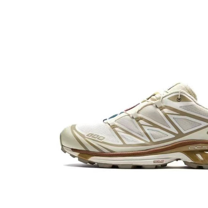 (609) 비둘기 브라운