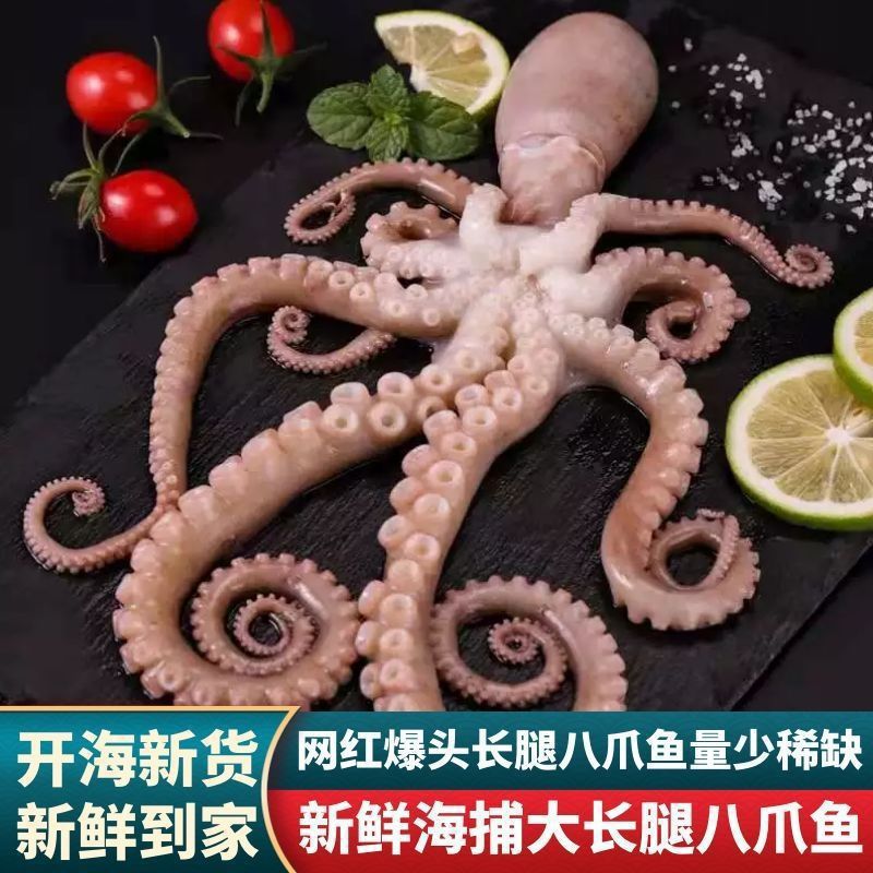 网红爆头大长腿八爪鱼鲜活速冻商用活的冷冻特大新鲜一件包邮