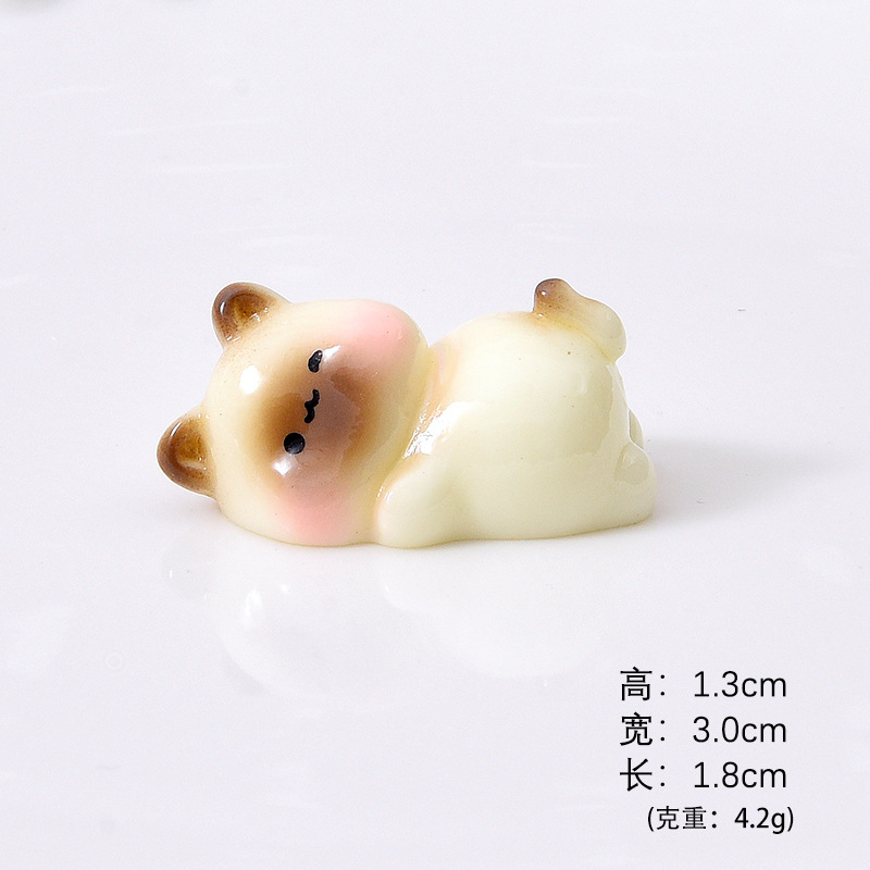 새끼 고양이