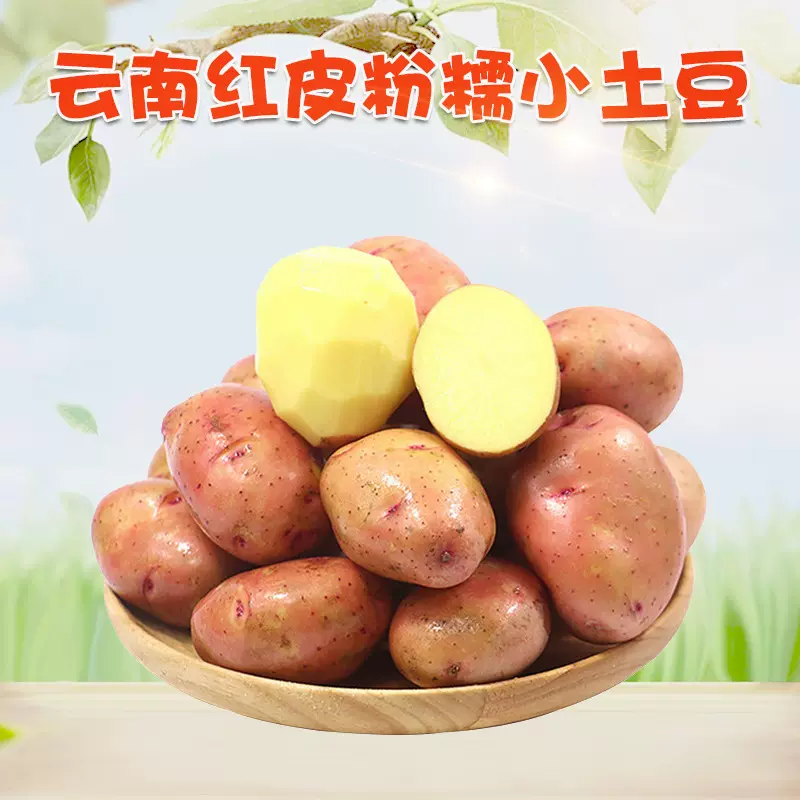 云南红皮小土豆 代发3/9斤新鲜黄心粉糯红皮土豆应季蔬菜马铃薯