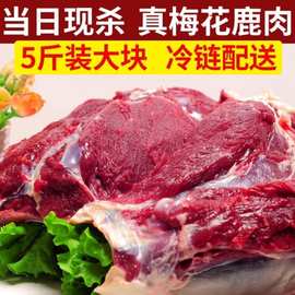 新鲜梅花鹿肉冷链运输现杀梅花鹿腿肉冷冻生鲜原生态鹿肉鹿场直销