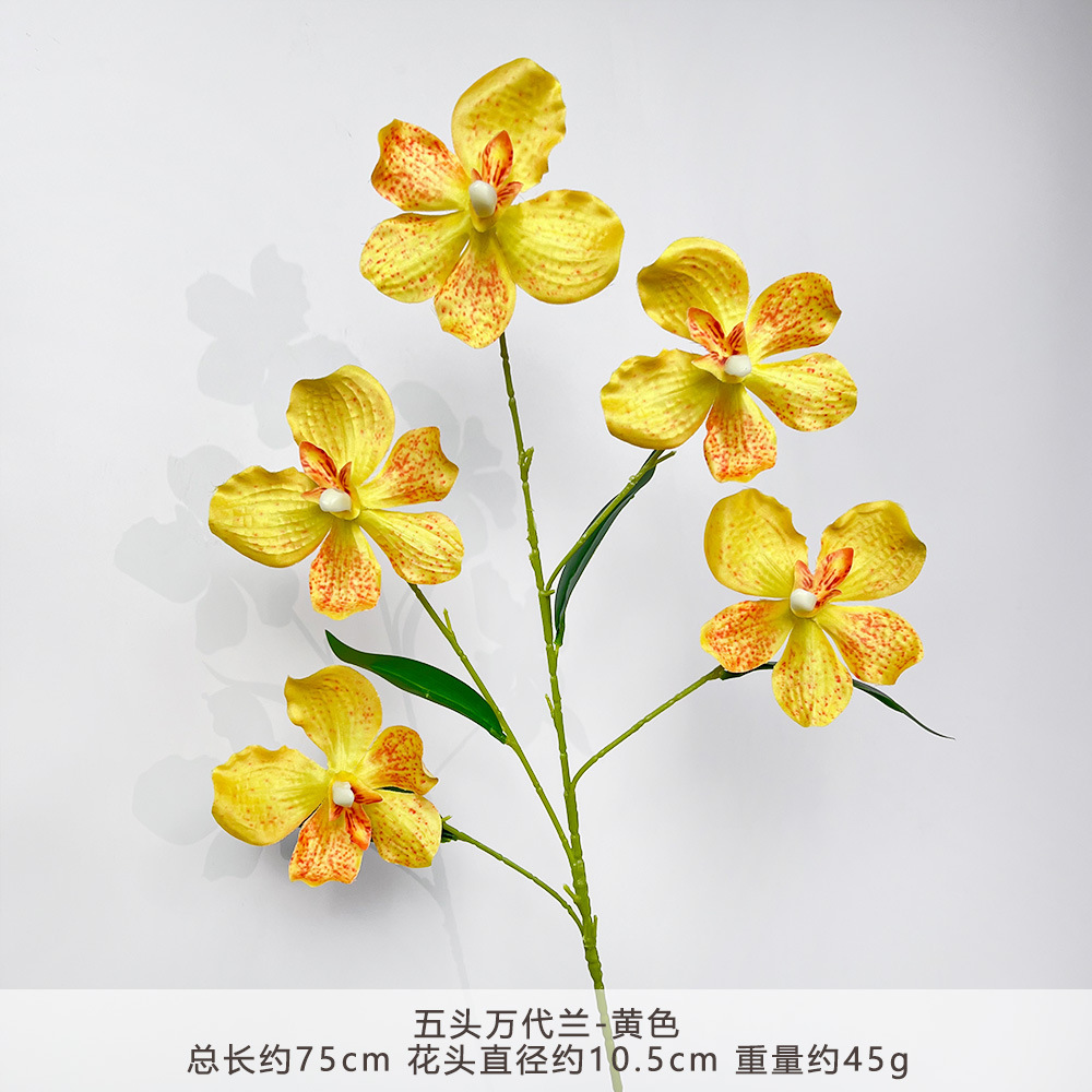 YGF-五头万代兰-黄色