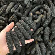 ���ɺ�����؛�W�̅�Ħ��纣����؛�����ݰl�ʸ߼�����؛�r�񃞄�