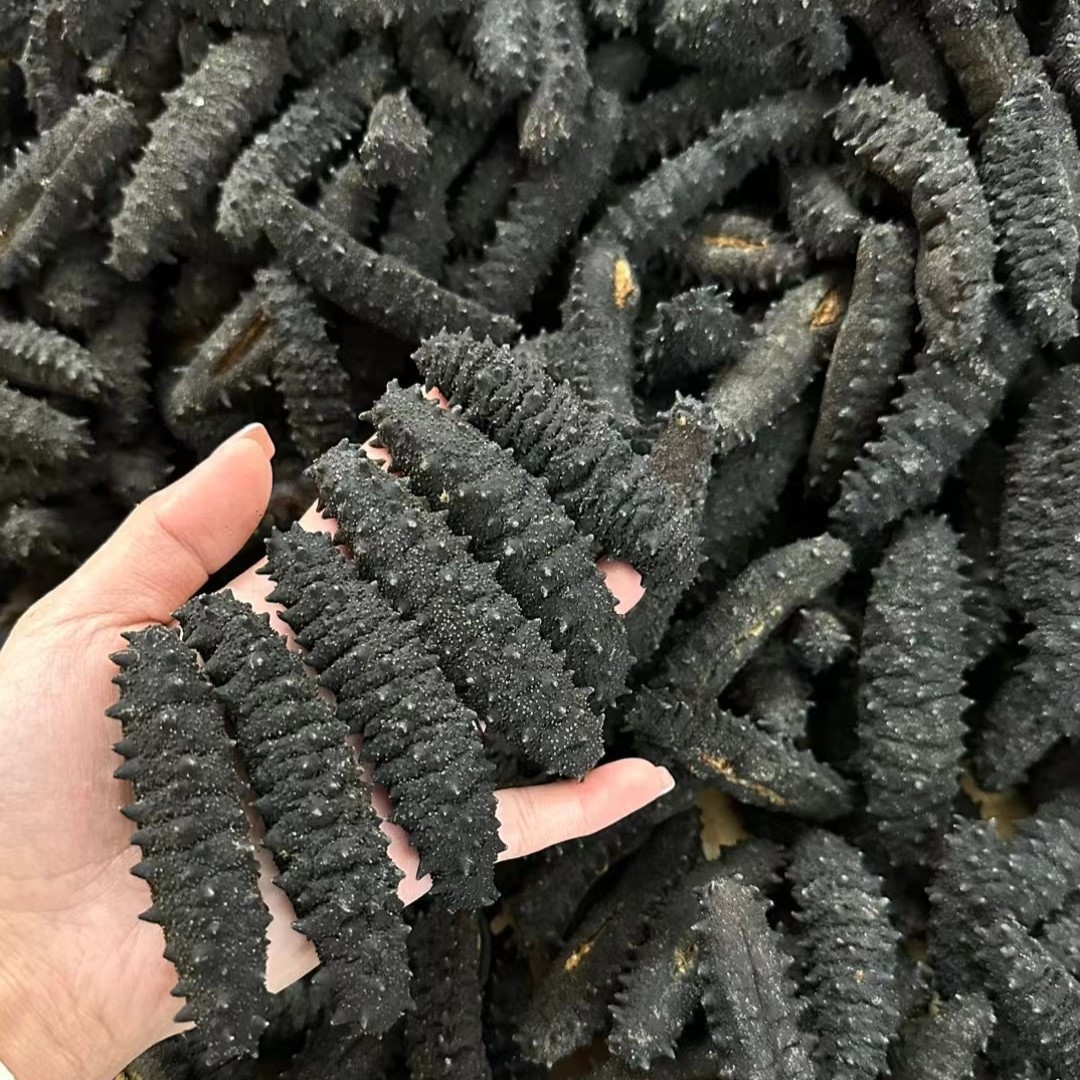 淡干海参干货欧刺参摩洛哥海参干货厚肉泡发率高纯淡干货价格优势