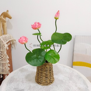 �S�Ҷ��ƺɻ����滨7�^�����ָз�����~�����b�ɏ���ֹ�