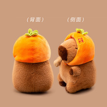 �羳��Ƥ�����決����ˮ��ë�q���ˮ��ɐ���ż���ʳ��ϵ�жY��