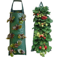 草莓種植袋懸掛式草莓番茄種植袋室內室外垂直種植蔬菜香草花卉