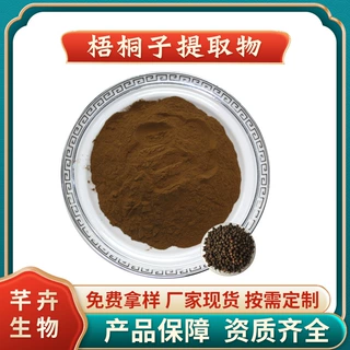梧桐子提取物 水溶梧桐子粉 梧桐种子/梧桐籽提取物 厂家包邮