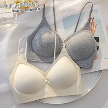 2025�±���玧�o�ۃ���ŮС�ؾ۔n�@���ո�����´�����������