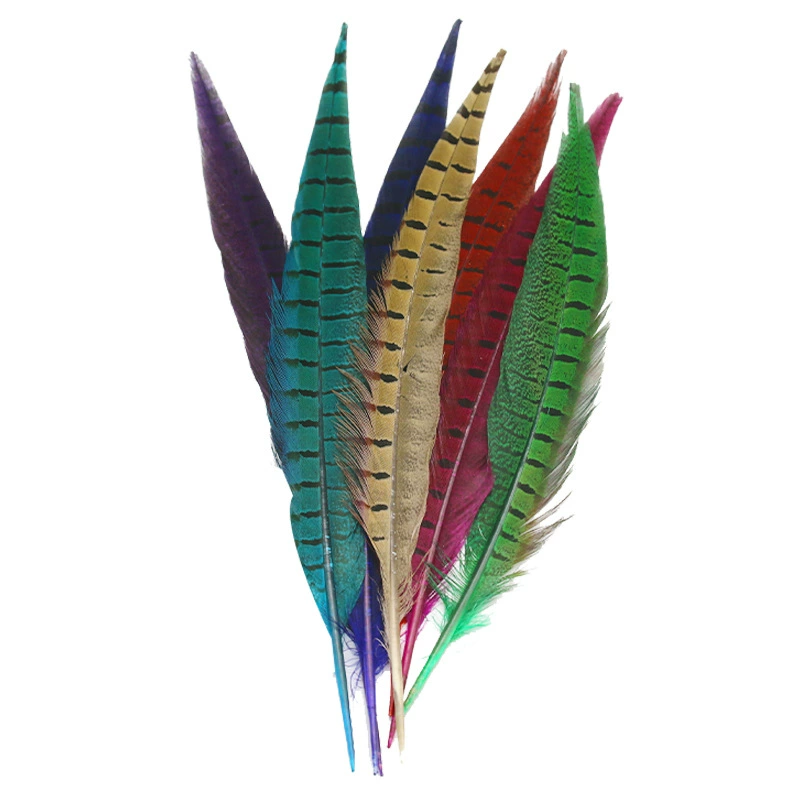 [Premium quality DIY public jiaohu? feather]