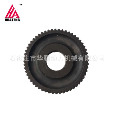 Flywheel/Gear 0210 1231 02101231