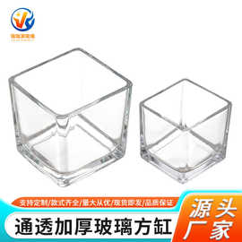 加厚方形玻璃蜡烛杯正方形绿萝水培花瓶方缸多肉花盆乌龟鱼缸批发