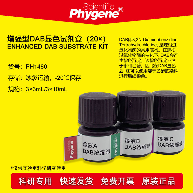 增强型DAB显色试剂盒（20×） Enhanced DAB Kit PH1480 PHYGENE