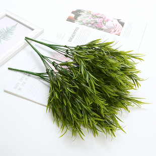 �S��ֱ�N�ٻ��Gֲ����ֲ�����ϲ廨���С��֦