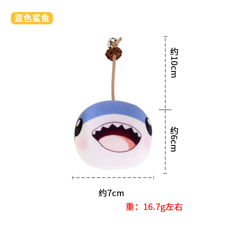 파란 상어