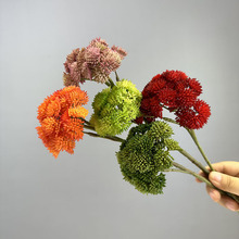 ����˻� ܛ�z���⽑������й���ˇ�廨�����辰�[���b��滨