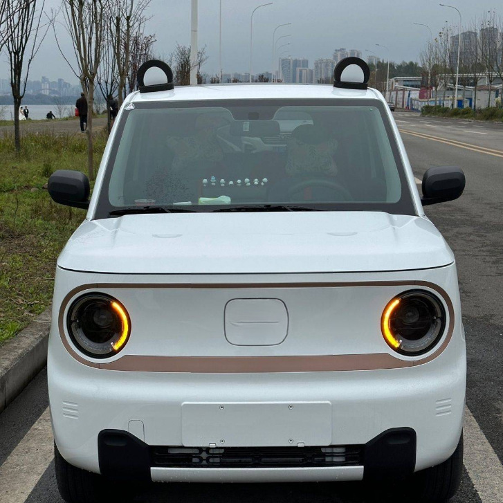 萌え主の車の屋根に熊耳の車の屋根を飾って萌え飾りを売って車のペアを探します。|undefined