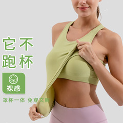 二層レジャートレーニング吸湿排汗胸パッド付きスポーツ下着屋外レジャートレーニングLULU高弾ヨガバック