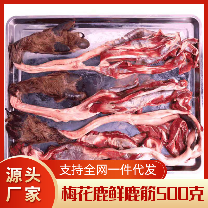 鲜鹿筋带蹄吴琼鹿肉新鲜梅花鹿肉煲汤泡酒鹿乡梅花鹿