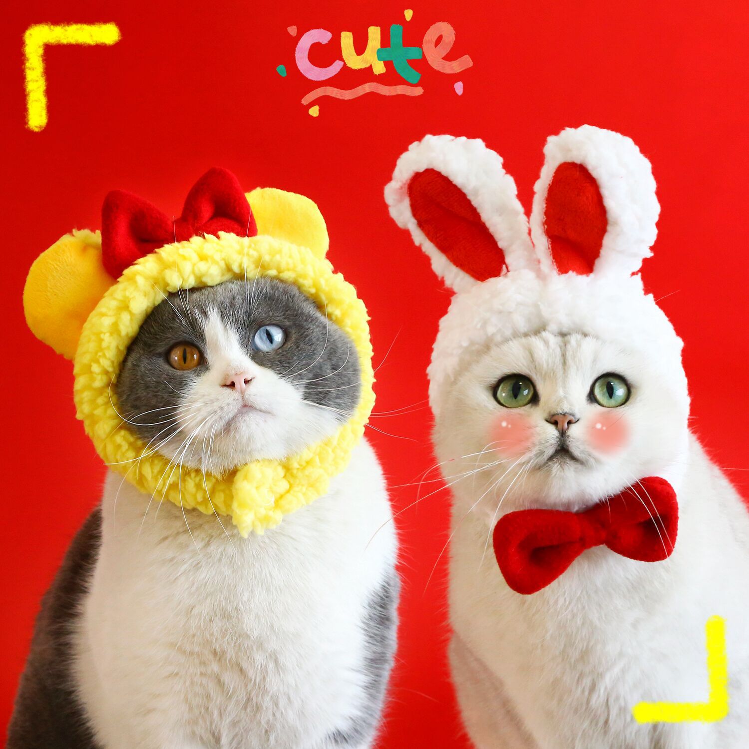 Mascota sombrero de Año Nuevo conejito felpa gato peluche cachorro oso arco dibujos animados princesa caliente