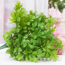 �羳�F؛���N15�^�ջ��~����Gֲ�Ҿ��҃����b��쾰����ֲ��ٲ�