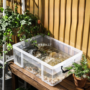 乌龟周转箱家用过滤造景塑料养龟缸透明生态箱亚克力生物养殖箱子-阿里巴巴