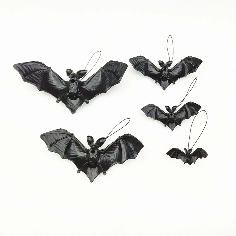 吊绳蝙蝠 (4)