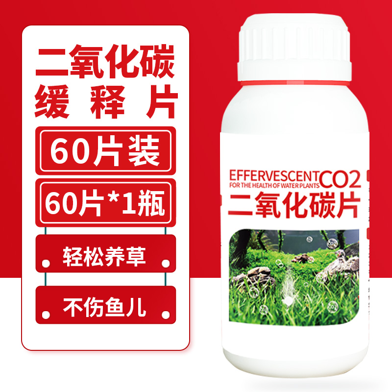 이산화탄소 서방정 1병(60정)