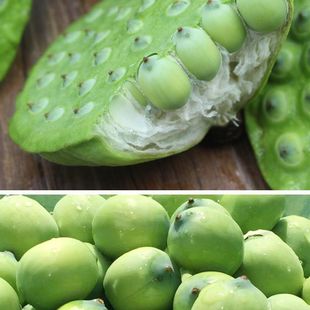 ���]���rɏ������ɏ��ɏ������ɏ��ˮ��ɏ��źɏ���ɏ����