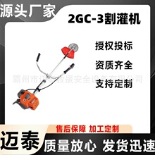 ���ڹ�ծ��Ŀ��Ʒ��̩��Я���ʽ�����2GC-3�ʹ������͸���