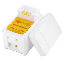 养蜂工具 泡沫蜂箱 蜜蜂交尾箱 蜜蜂育王箱 授粉箱套装出口外贸