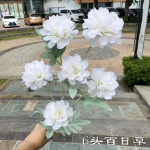 白色婚庆仿真花批发 6头百日草 茶玫芍药牡丹婚礼摄影酒店家装饰