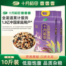 十月稻田五色糙米2.5kg×2袋糙米饭黑米红米燕麦均衡搭配真空官方
