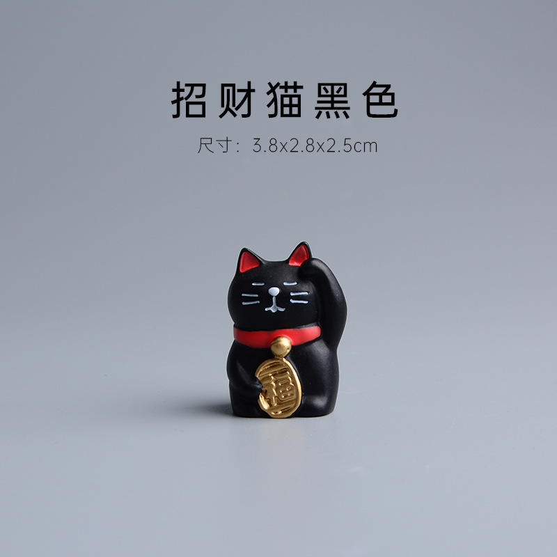 행운의 고양이 블랙