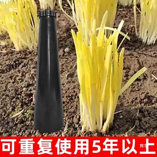 �²˾��S��Ͳ�ڷNֲ���÷����w���ڹ��r�I�����ָ�����Ͳ�A������