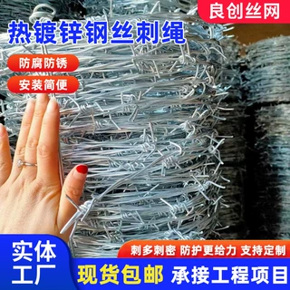 厂家批发钢丝刺绳防盗刺网小区工厂防盗刺绳网机场监狱防护刺网