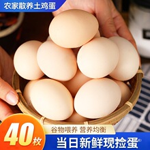 �����r��ɢ�B���u��40ö���r������u���F��F�l�������I�B���