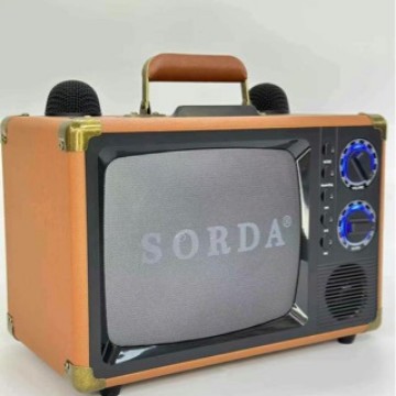 Sd2107 Outdoor Portable Satchel Bluetooth Speaker Wireless Microphone Karaoke Machine Home Tv Kidsren Singing