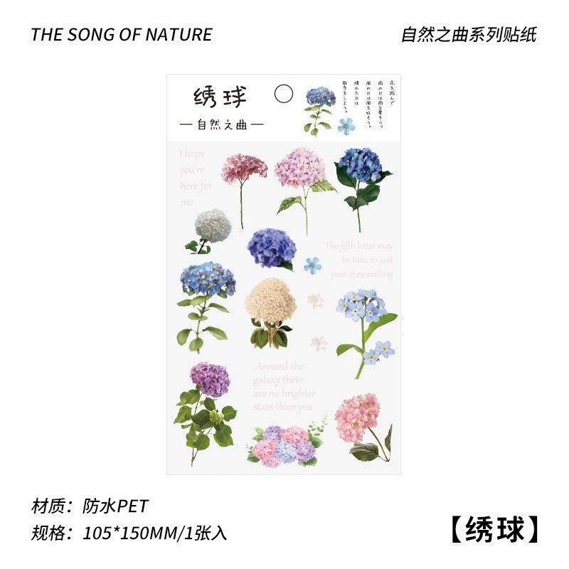 Transparent Waterproof Stickers, Floral & Botanical Designs, Small 3.33×1×0.33 cm, Assorted